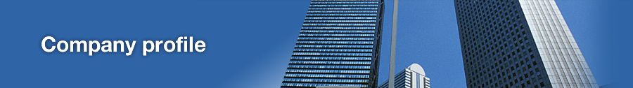 Company profile