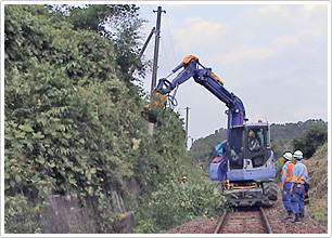Examples of work