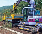 Chain saw cutter (tree felling machine)